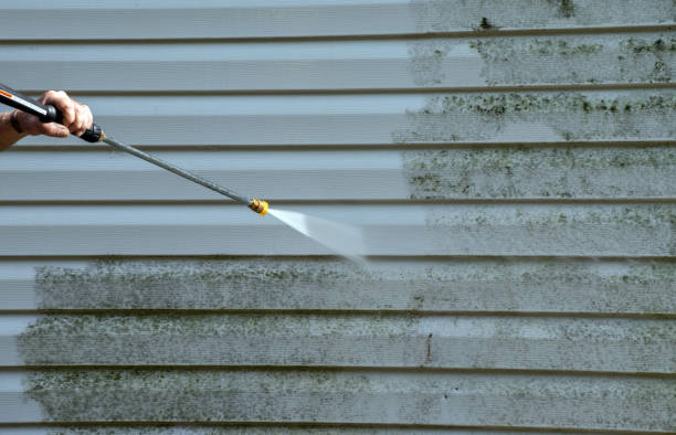 Best Roof Washing  in Charleston, MO
